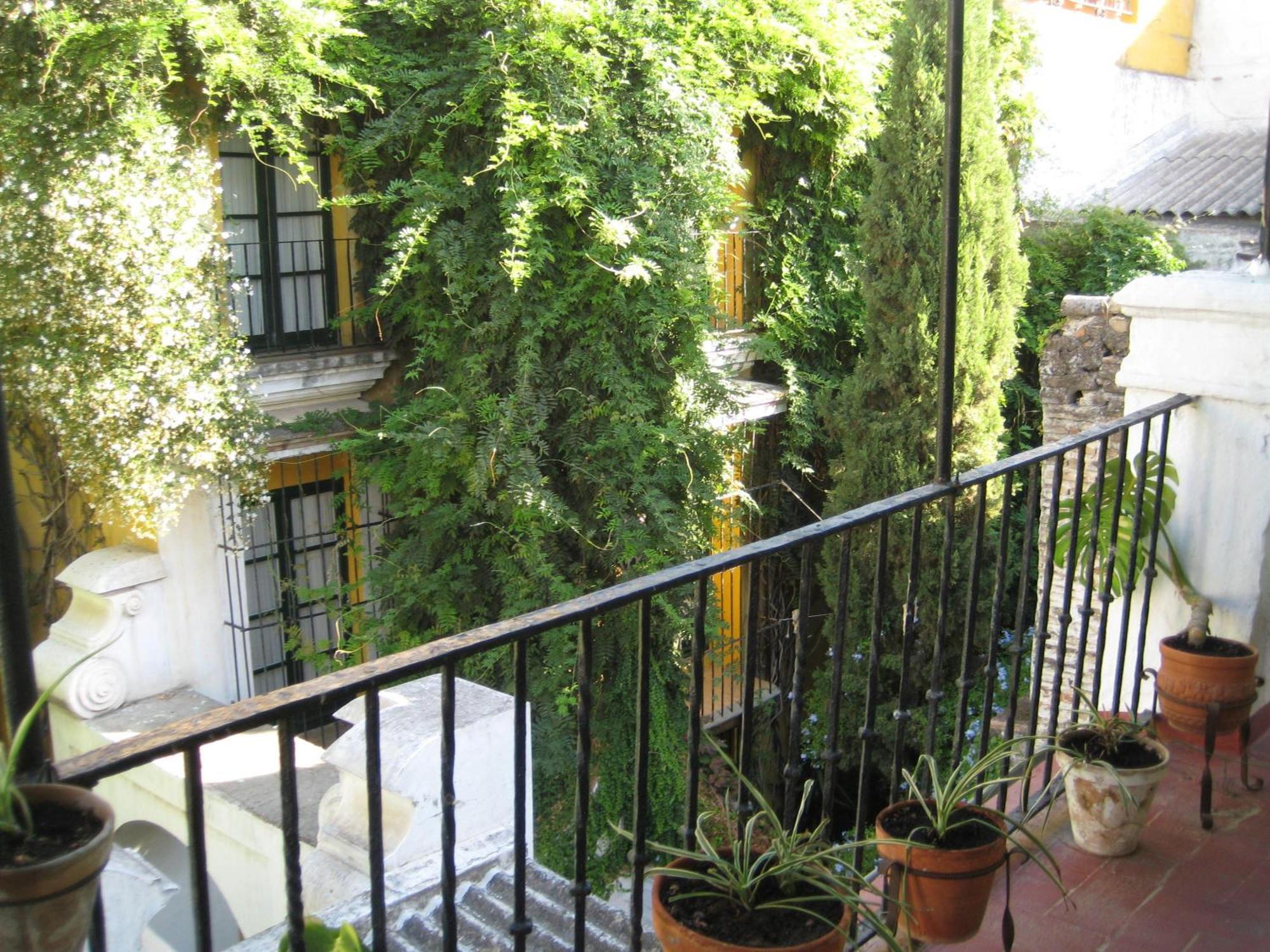 Pension Bienvenido — Photos 3